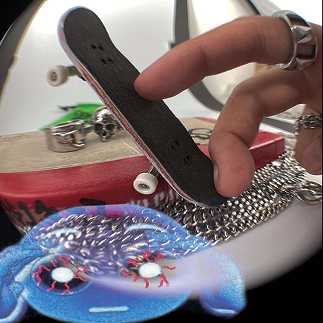 Fingerboard  Personal Fears Personal Fears Personal Fears Fingerboard | Skate Accessories