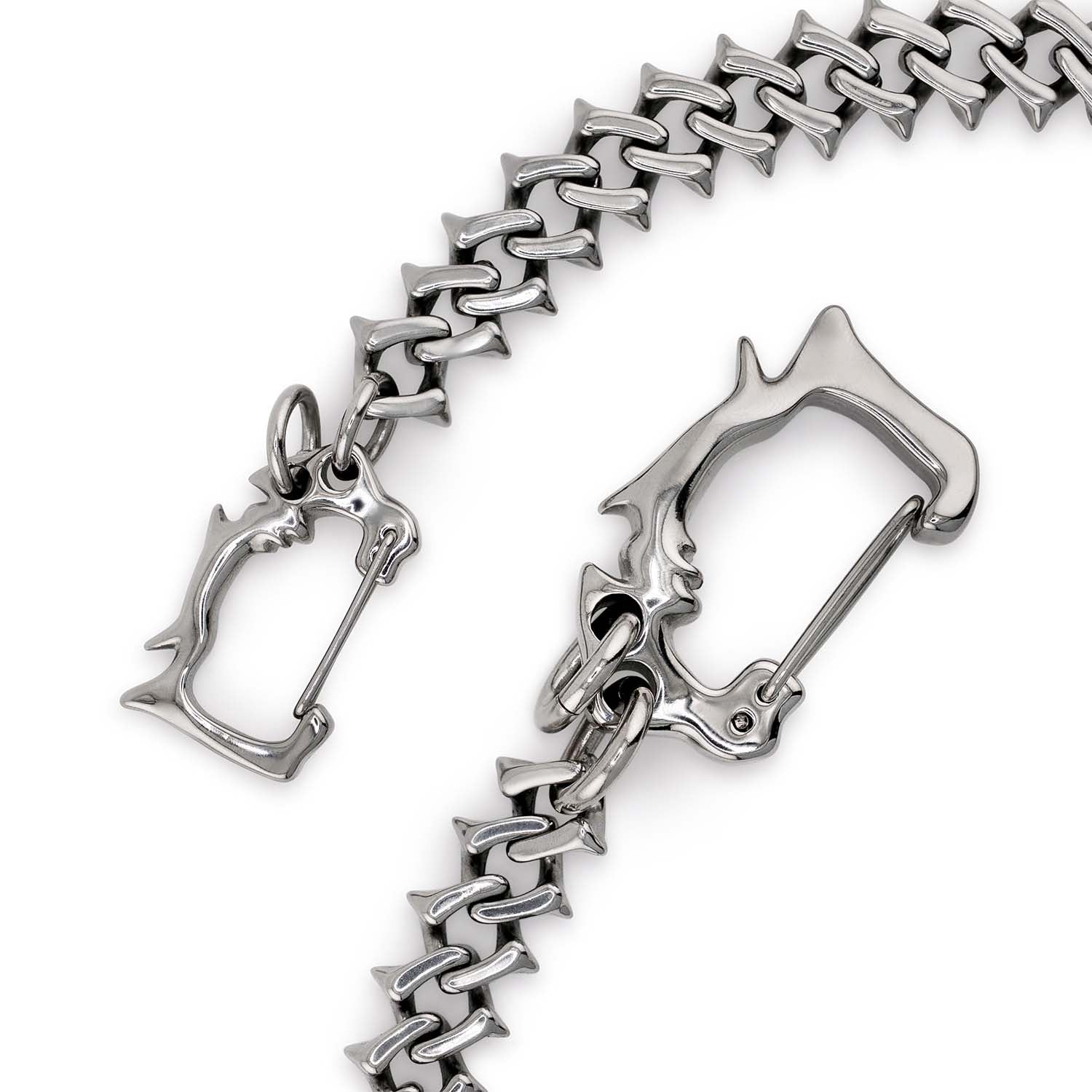 Raptor Link Wallet Chain