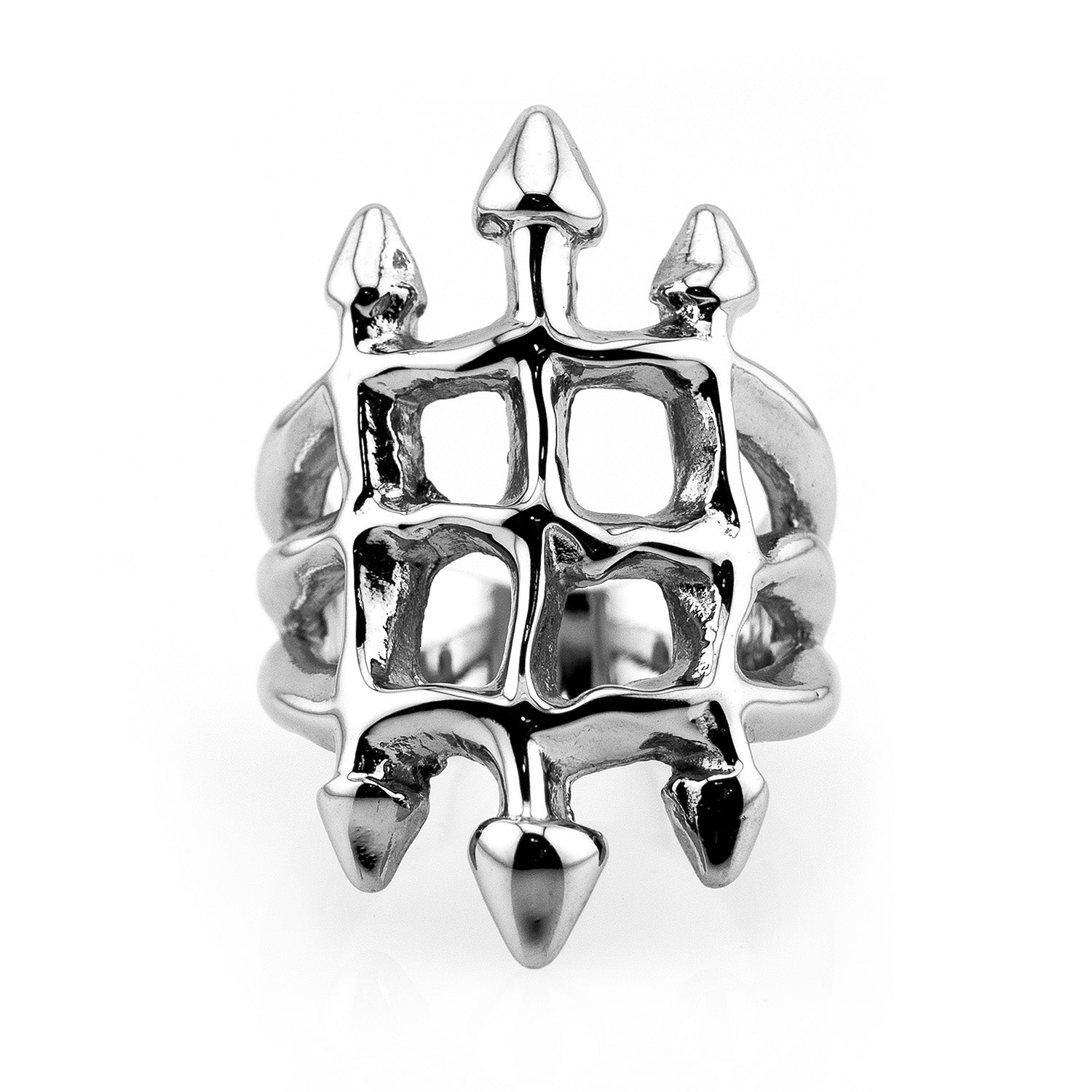 Cathedral Ring