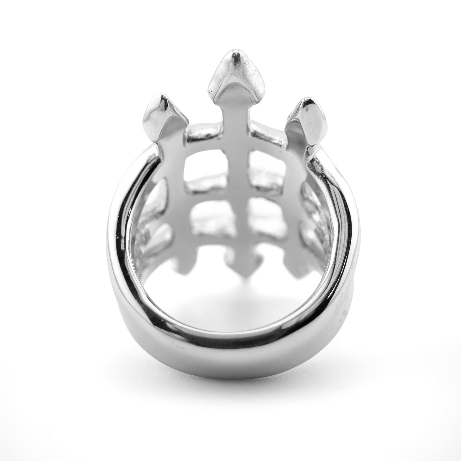 Cathedral Ring