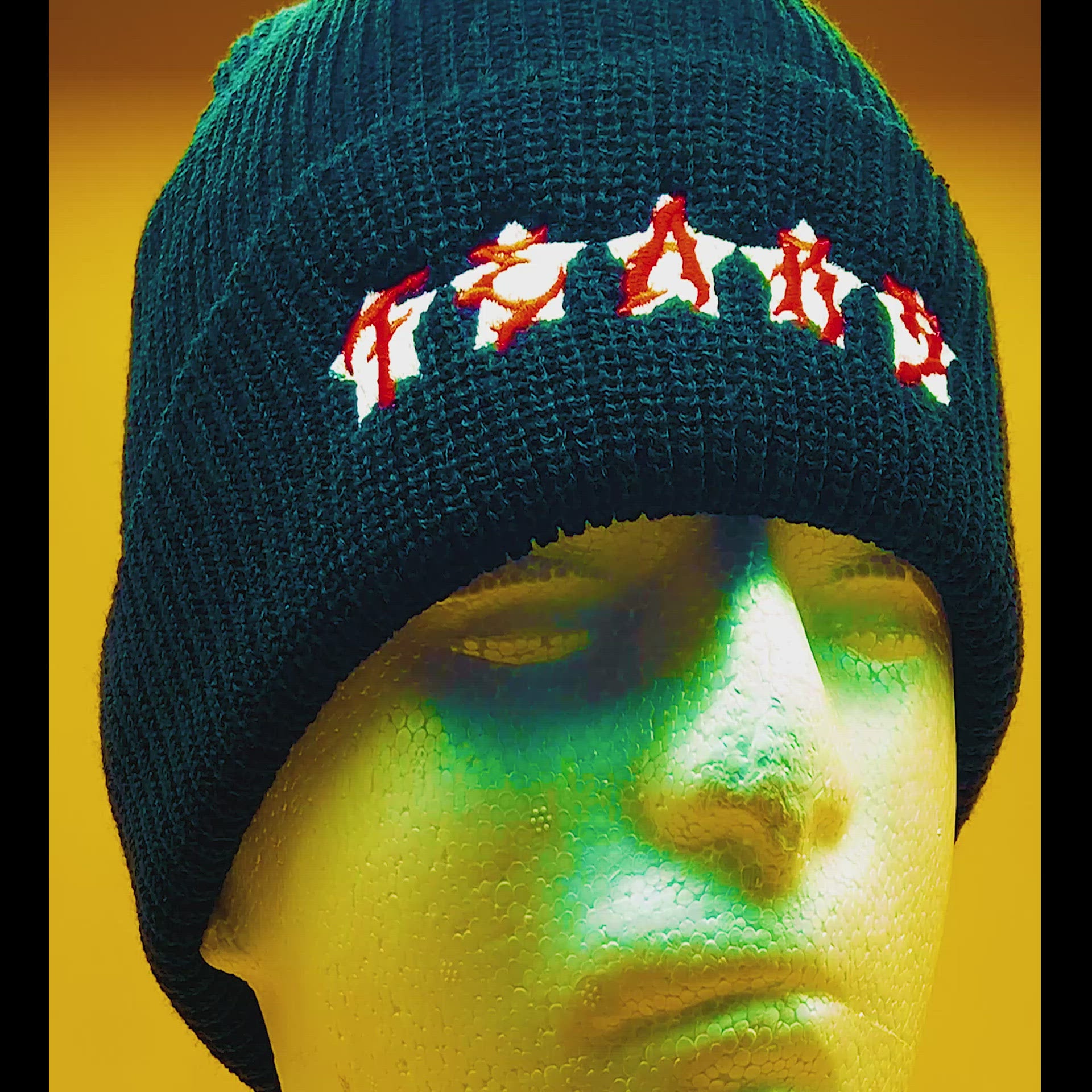 Wings - Embroidered Beanie