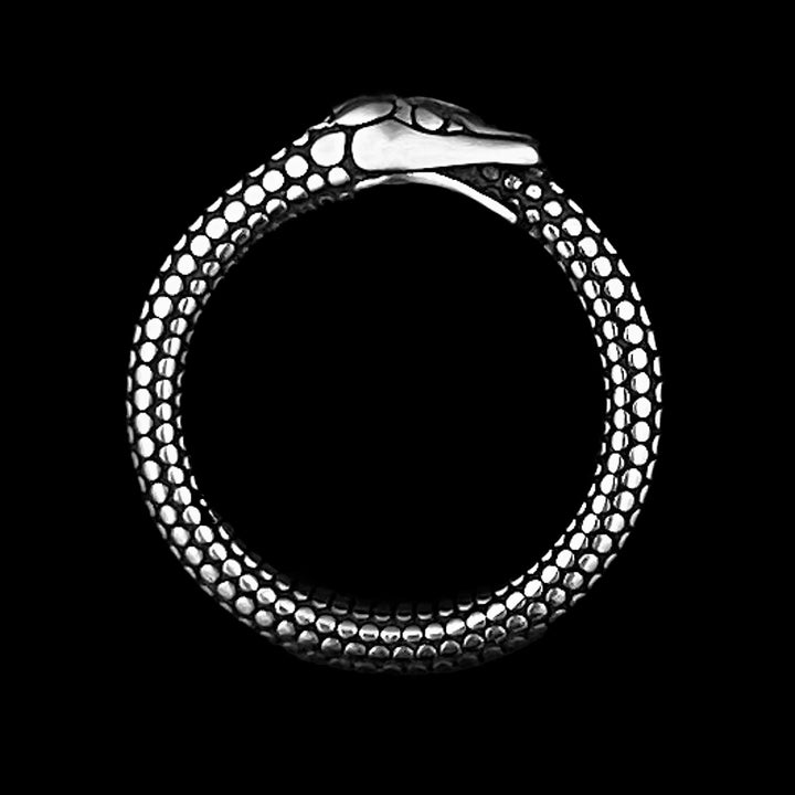 Snake Ouroboros Ring