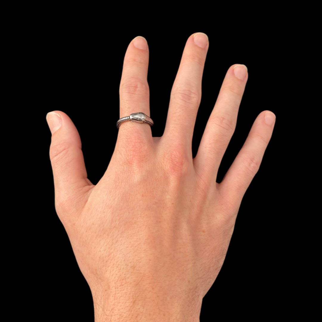 Snake Ouroboros Ring