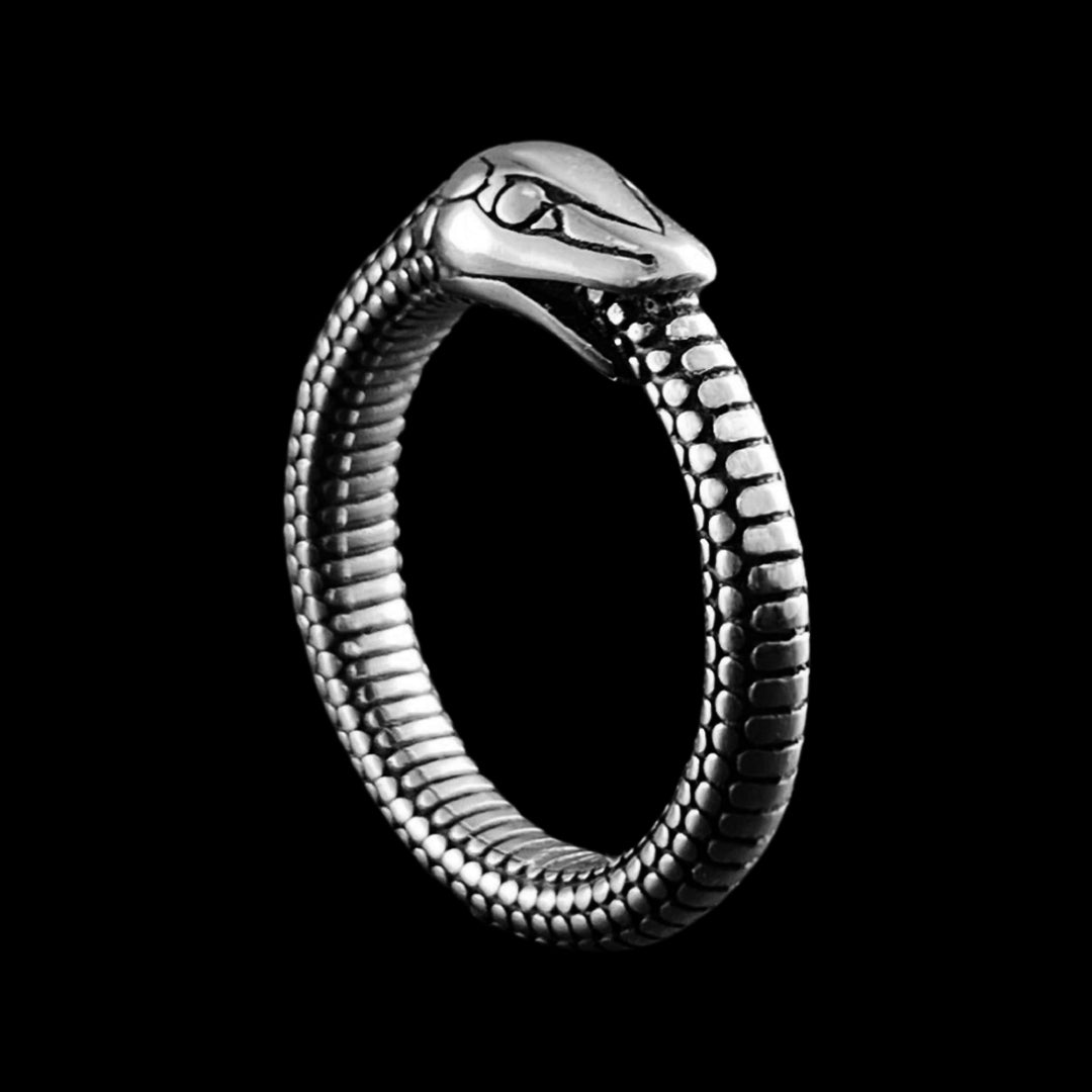 Snake Ouroboros Ring
